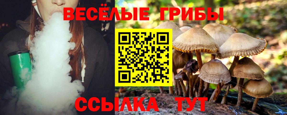 Галлюциногенные грибы Magic Shrooms  Вход с VPN  Электросталь  Галлюциногенные грибы Psilocybe 